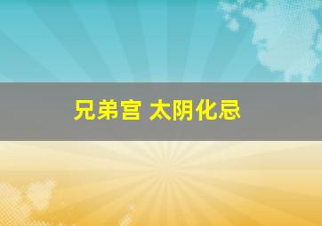 兄弟宫 太阴化忌